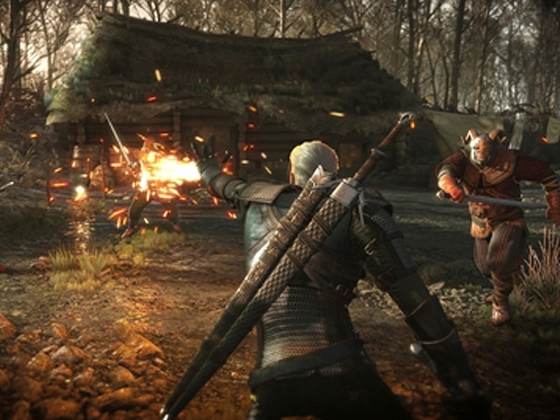 The Witcher 3 Wild Hunt Hearts of Stone 