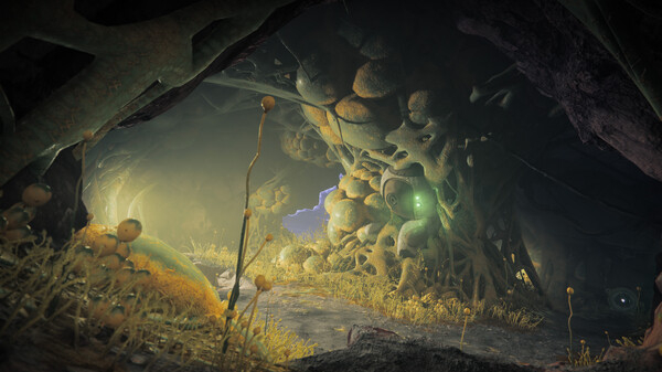 Destiny 2: Year of Prophecy 