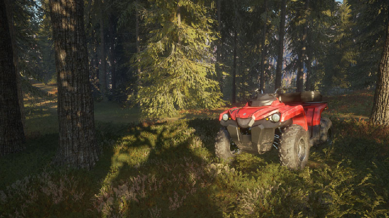 theHunter Call of the Wild 